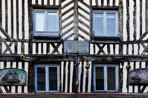 Traitement punaises de lit Troyes
